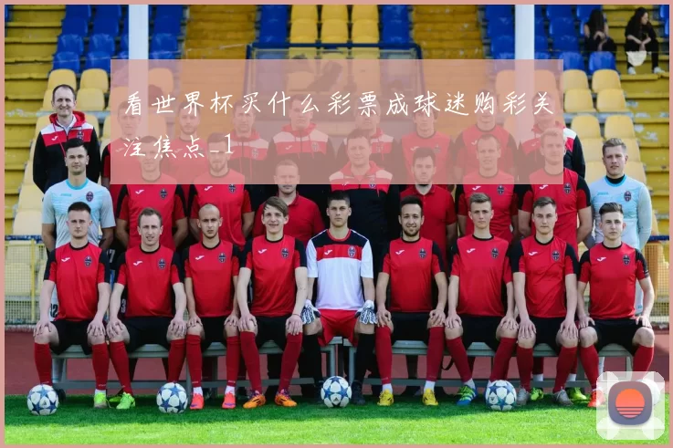 看世界杯买什么彩票成球迷购彩关注焦点_1