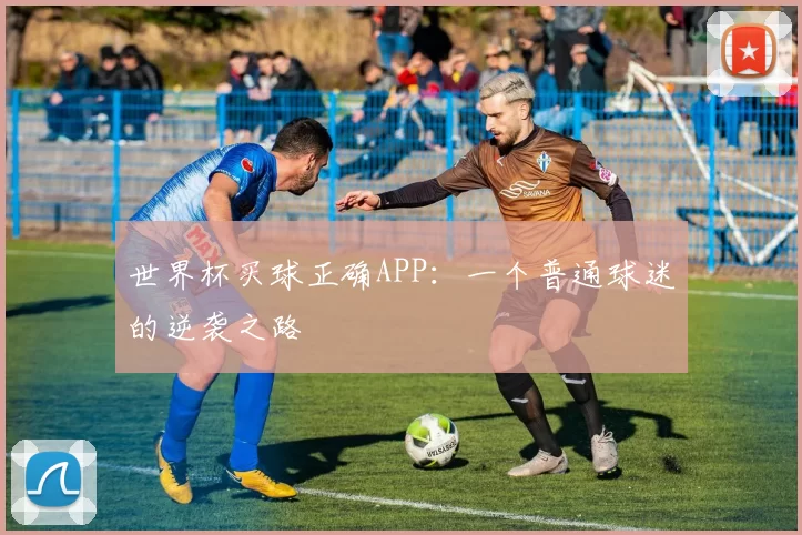 世界杯买球正确APP：一个普通球迷的逆袭之路