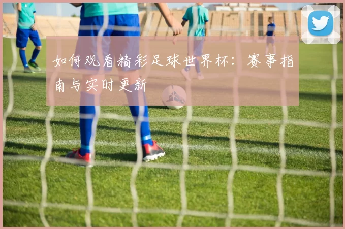 如何观看精彩足球世界杯:赛事指南与实时更新