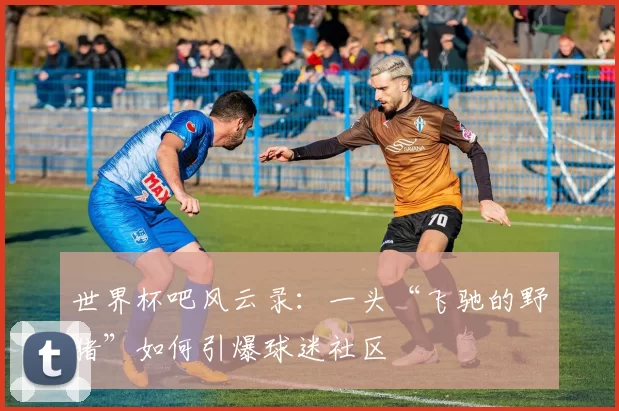 世界杯吧风云录:一头“飞驰的野猪”如何引爆球迷社区
