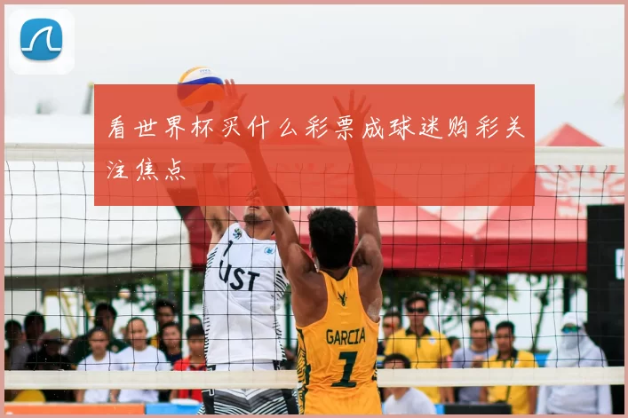 看世界杯买什么彩票成球迷购彩关注焦点