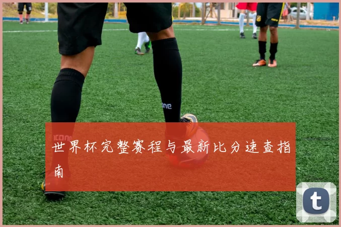 世界杯完整赛程与最新比分速查指南