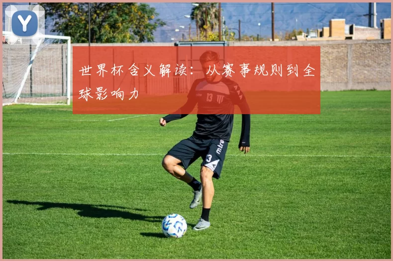世界杯含义解读：从赛事规则到全球影响力