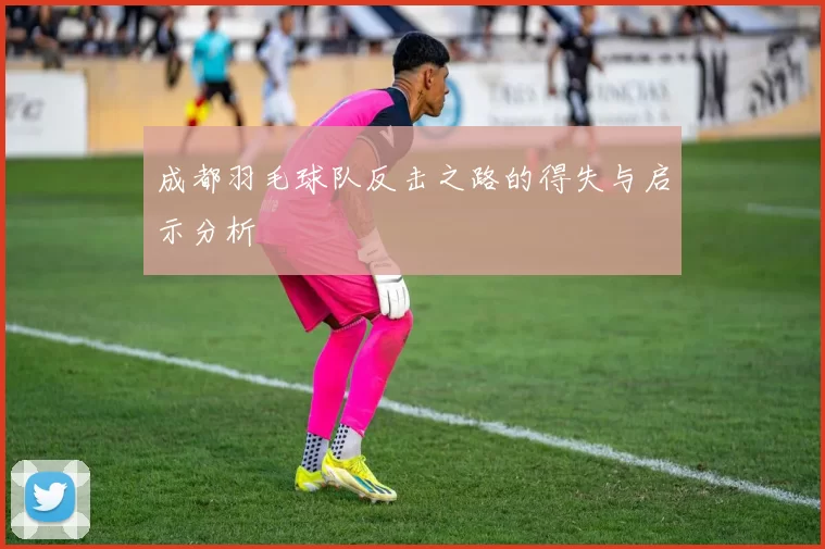 成都羽毛球队反击之路的得失与启示分析