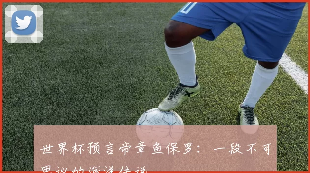 世界杯预言帝章鱼保罗：一段不可思议的海洋传说