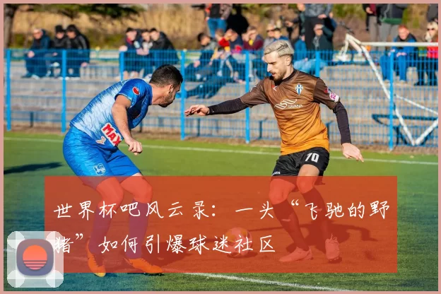 世界杯吧风云录：一头“飞驰的野猪”如何引爆球迷社区