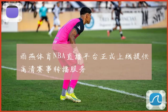 雨燕体育NBA直播平台正式上线提供高清赛事转播服务