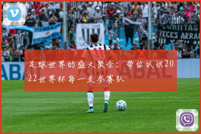 足球世界的盛大聚会：带你认识2022世界杯每一支参赛队